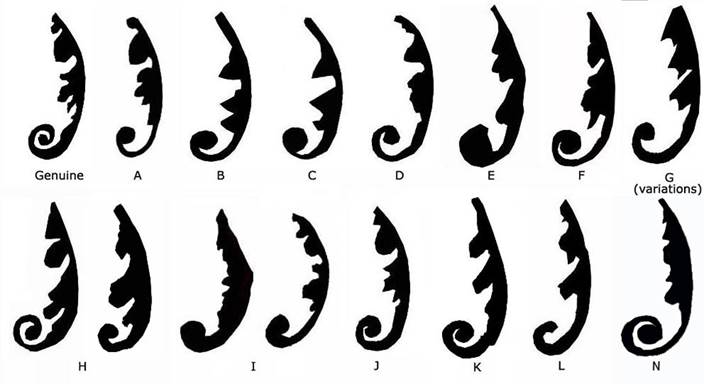 A black and white image of a swirly design

Description automatically generated with medium confidence